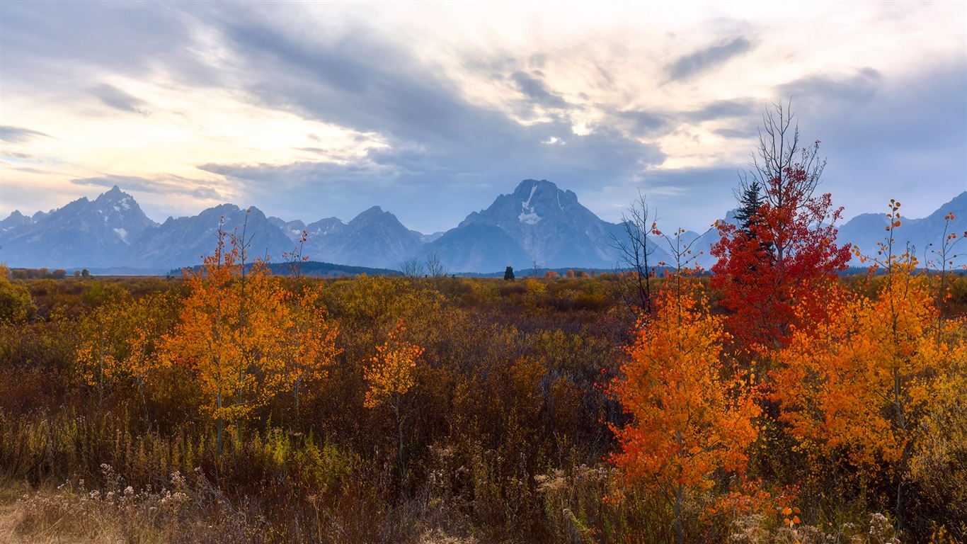 USA Grand Teton národní park přírodní krajiny HD tapety #17 - 1366x768