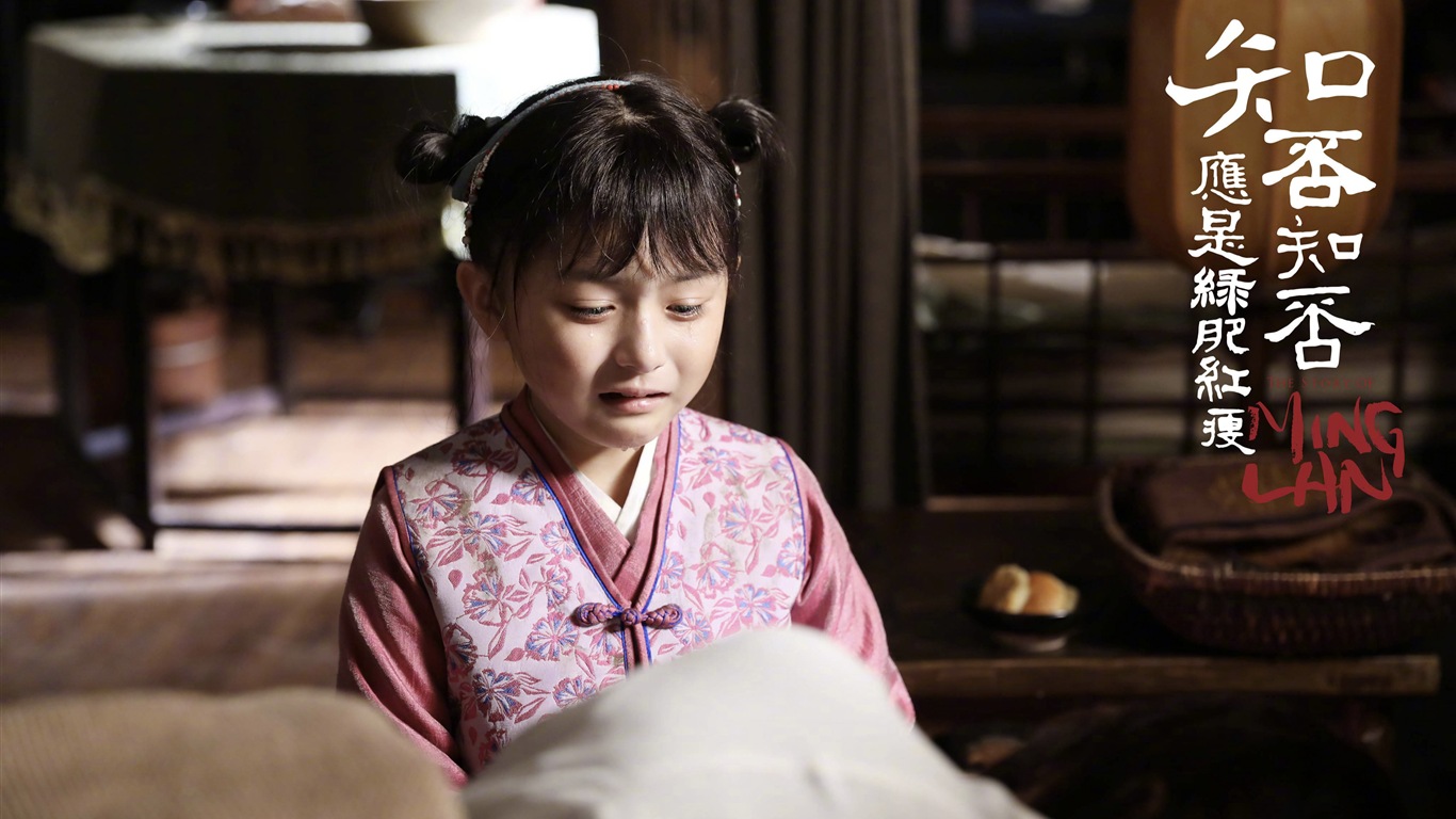 知否知否應是綠肥紅瘦 電視劇高清壁紙 #5 - 1366x768