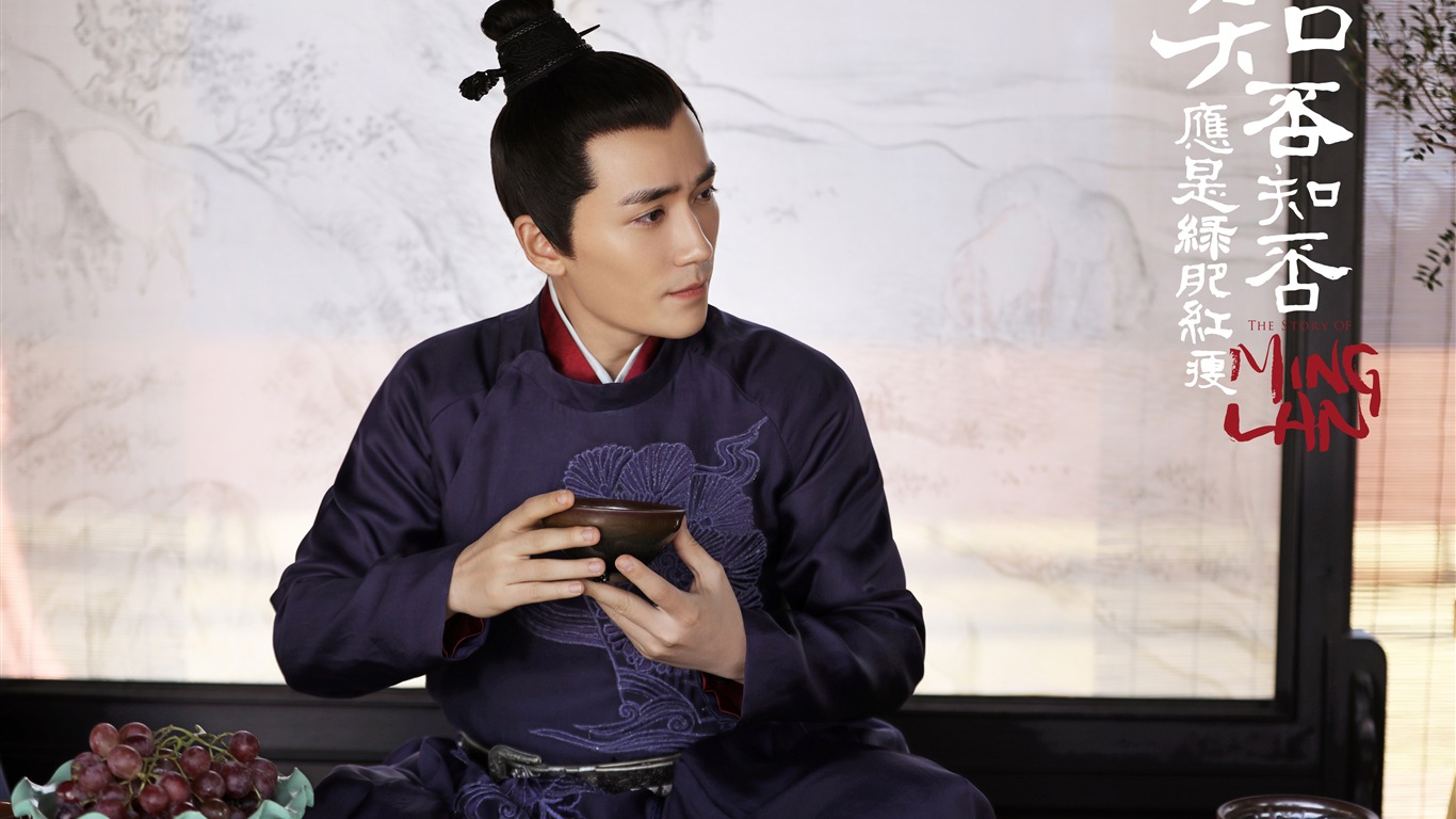 知否知否應是綠肥紅瘦 電視劇高清壁紙 #10 - 1366x768