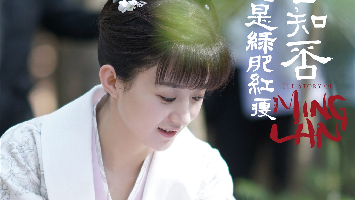 知否知否應是綠肥紅瘦 電視劇高清壁紙 #27 - 1366x768