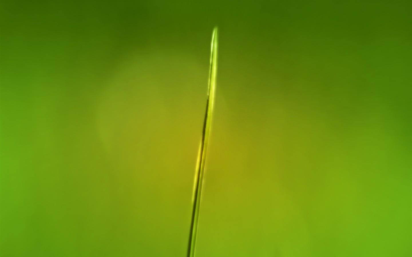 Vista 植物壁紙(三) #15 - 1440x900