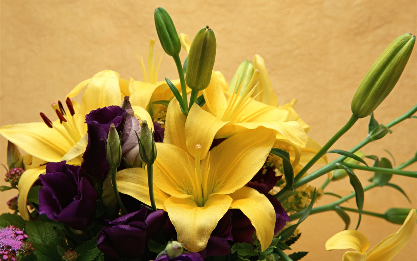 Flower Desktop Wallpaper Selection (1) #10 - 1440x900