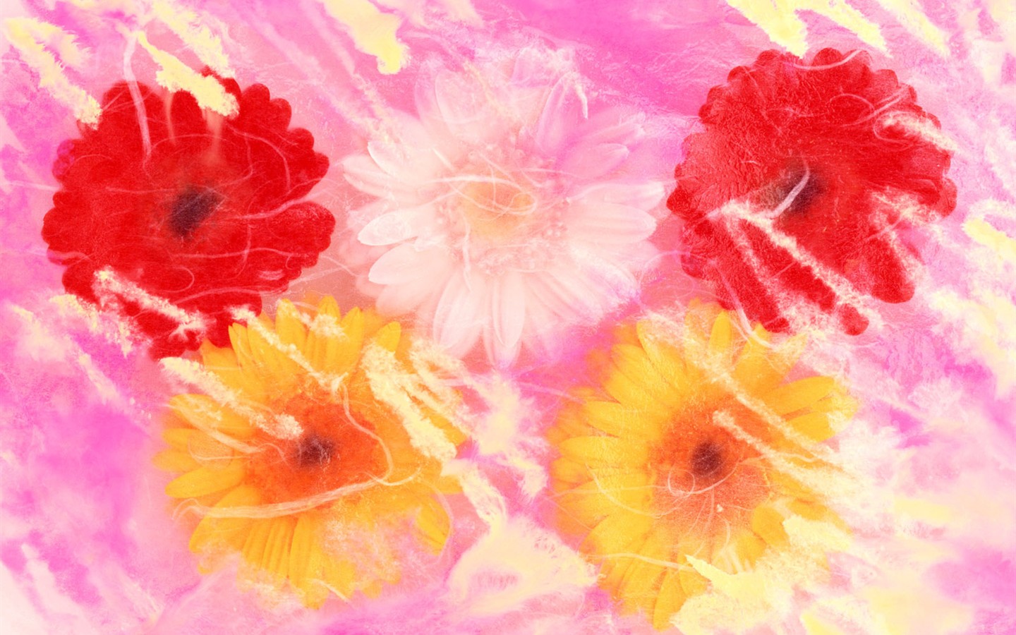 Sélection Flower Fond d'écran (2) #14 - 1440x900