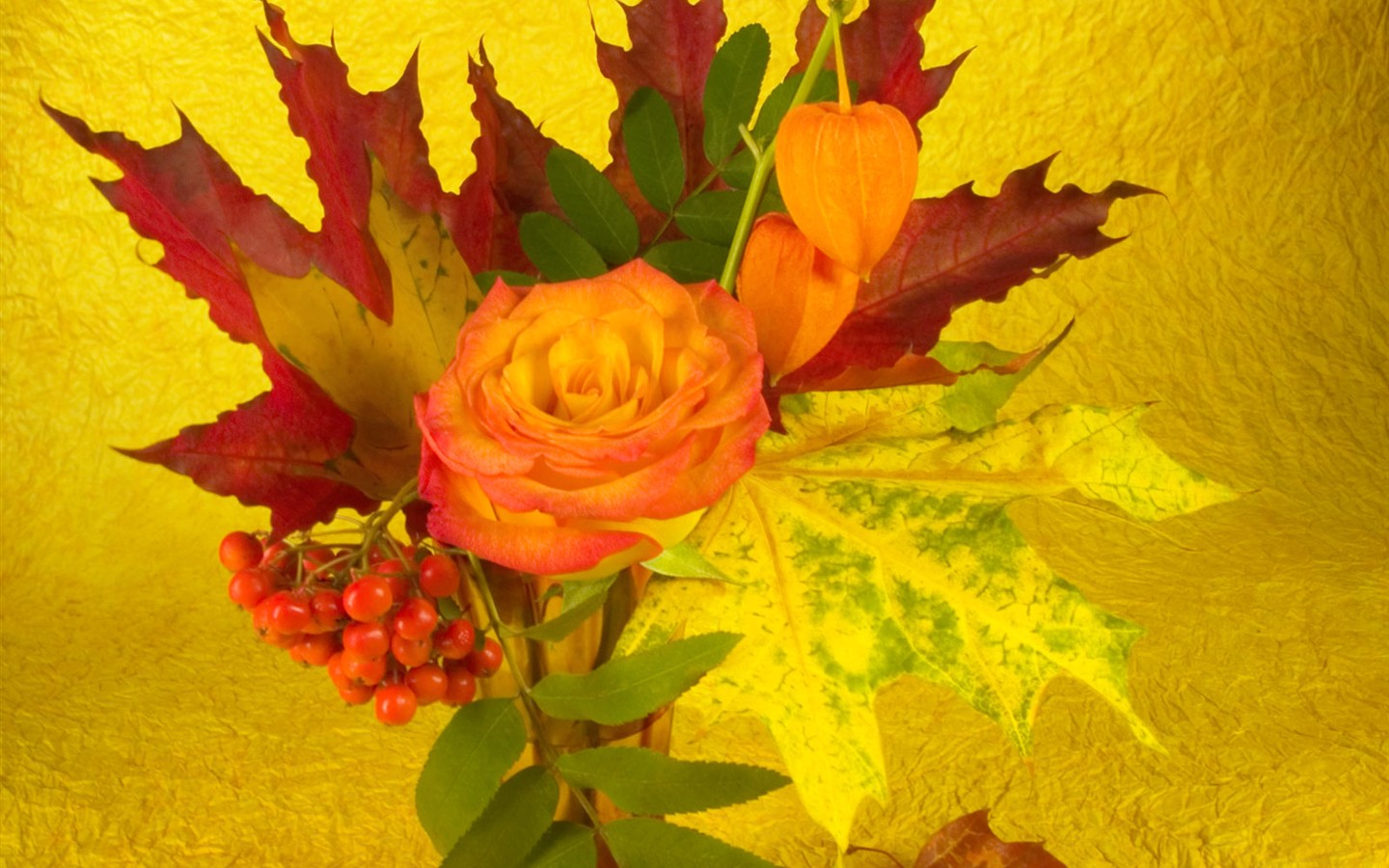 Květiny close-up (2) #3 - 1440x900