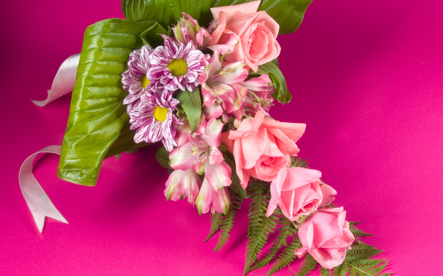 Květiny close-up (2) #13 - 1440x900