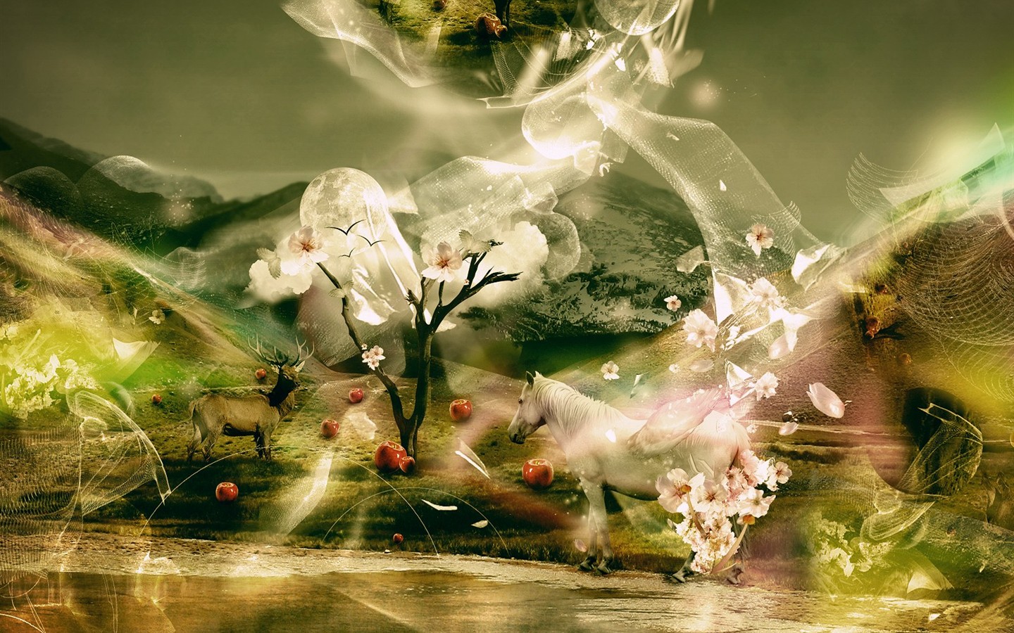 Exquisite design Vladstudio Wallpaper #21 - 1440x900