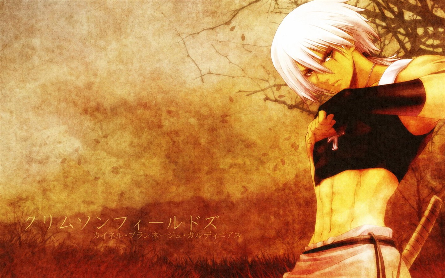Tony大神壁紙集錦 #6 - 1440x900