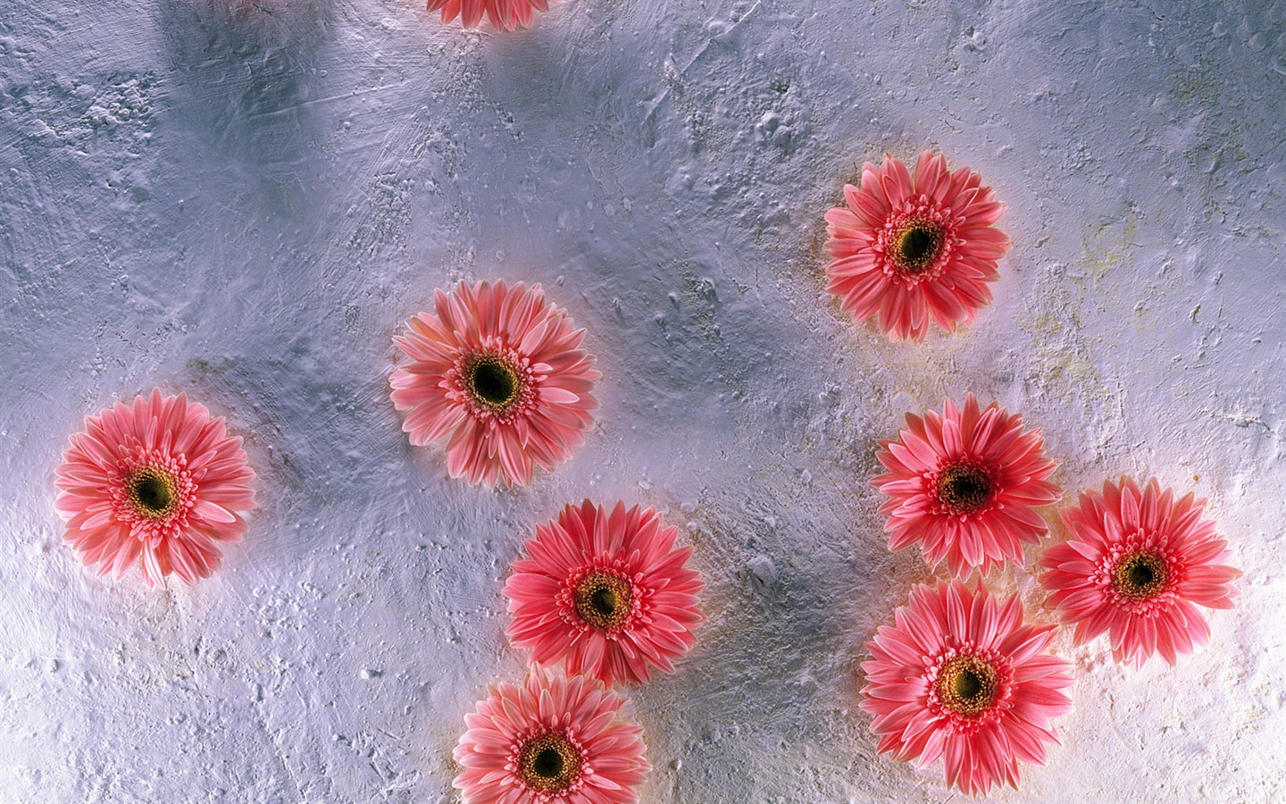 실내 꽃 벽지 (1) #25 - 1440x900