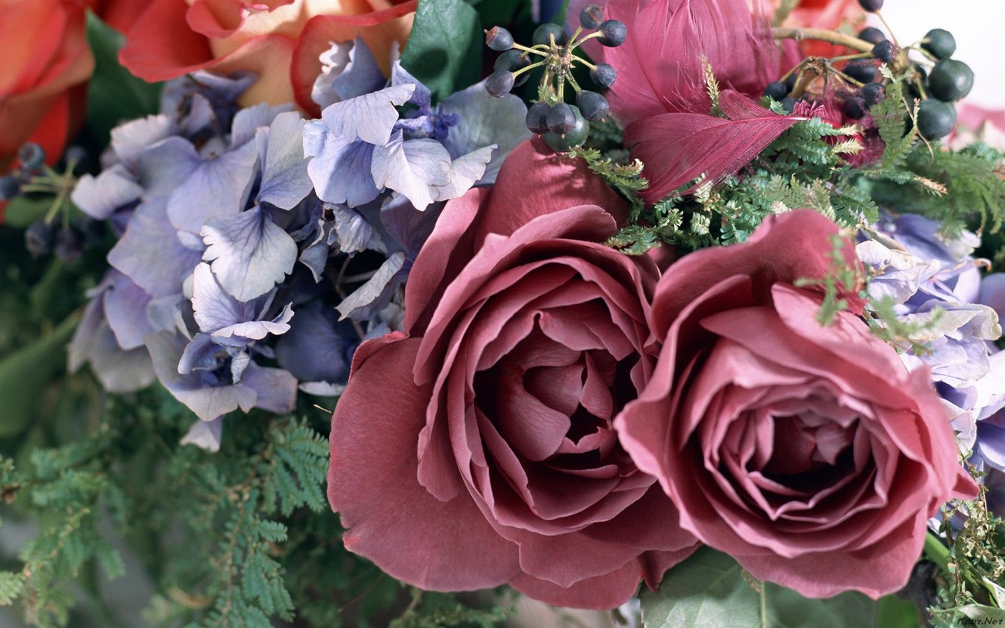 室內鮮花特輯(二) #23 - 1440x900