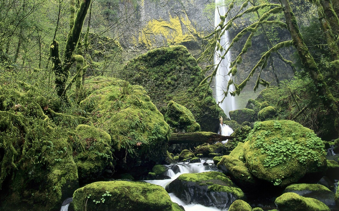 Webshots paysages naturels Fond d'écran #11 - 1440x900