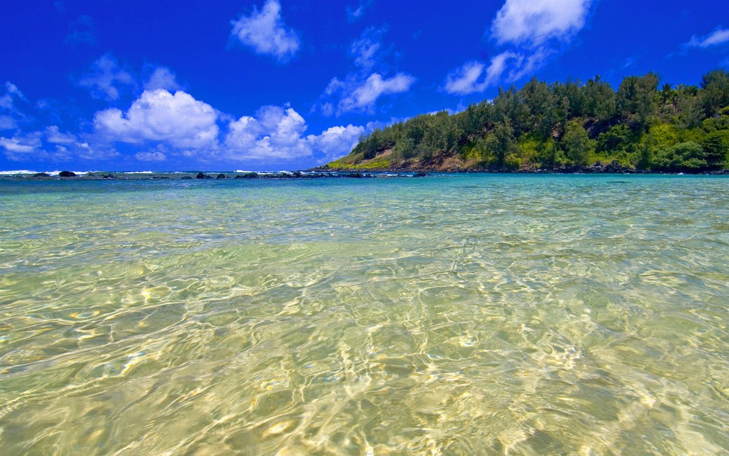 Webshots自然風光壁紙 #34 - 1440x900