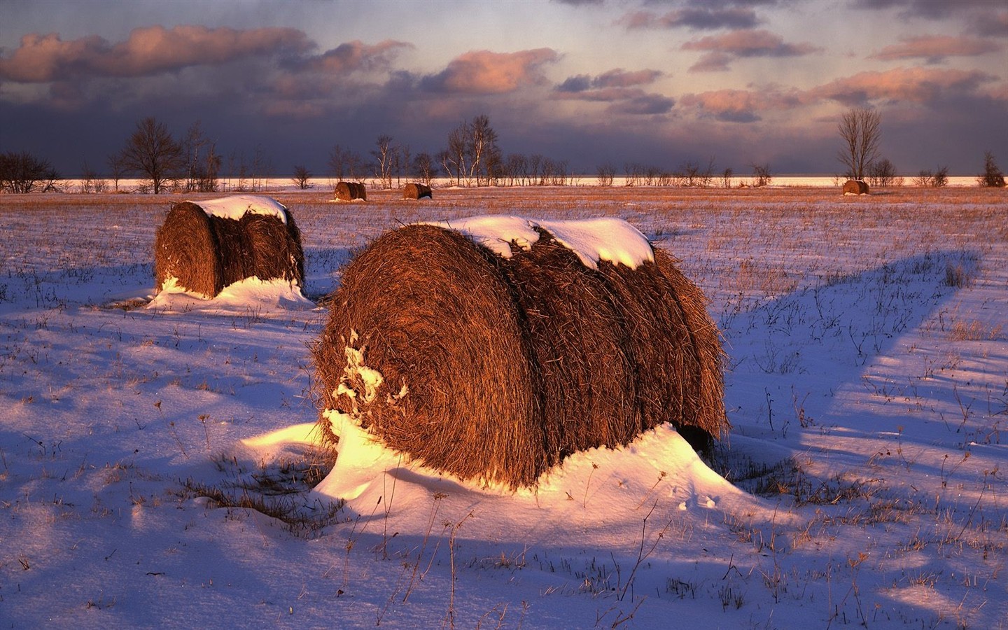 Faits saillants de paysages naturels (4) #9 - 1440x900