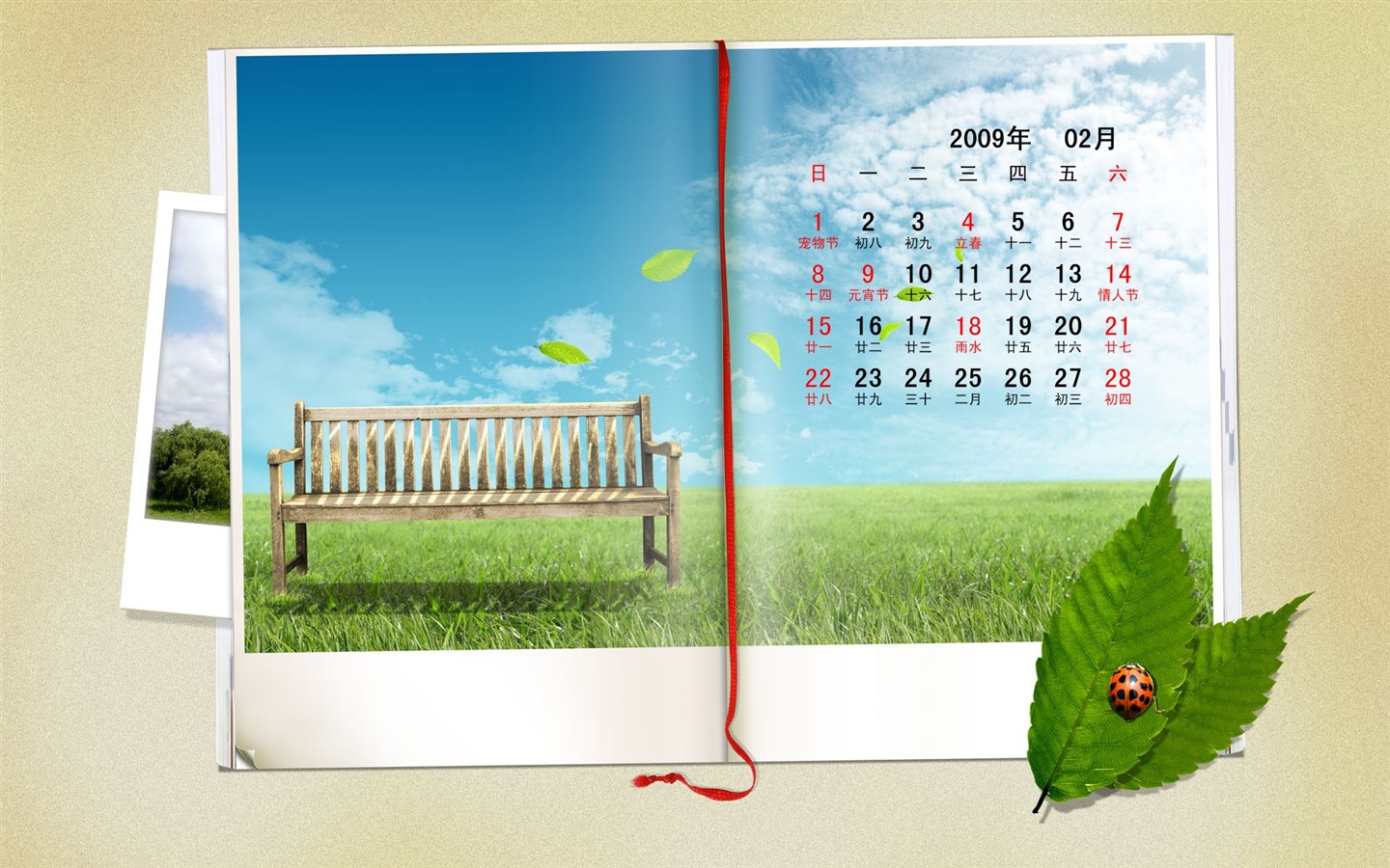 Paperart 09 Jahre im Februar Kalender Wallpaper #20 - 1440x900