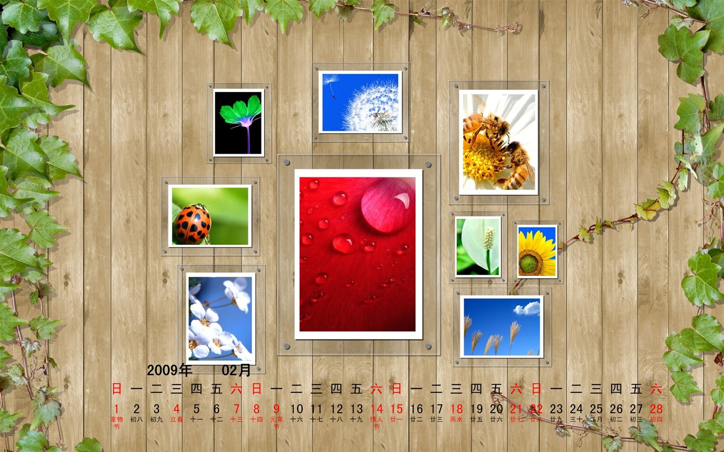 PaperArt09年2月月曆壁紙 #24 - 1440x900