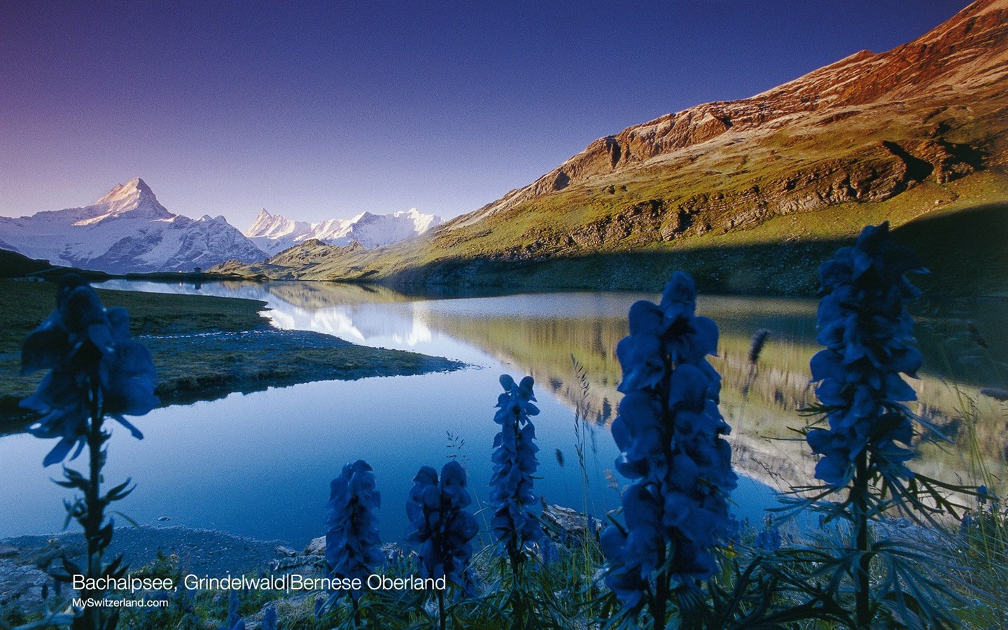 Suiza fondos de escritorio de lugares de interés turístico de verano #10 - 1440x900