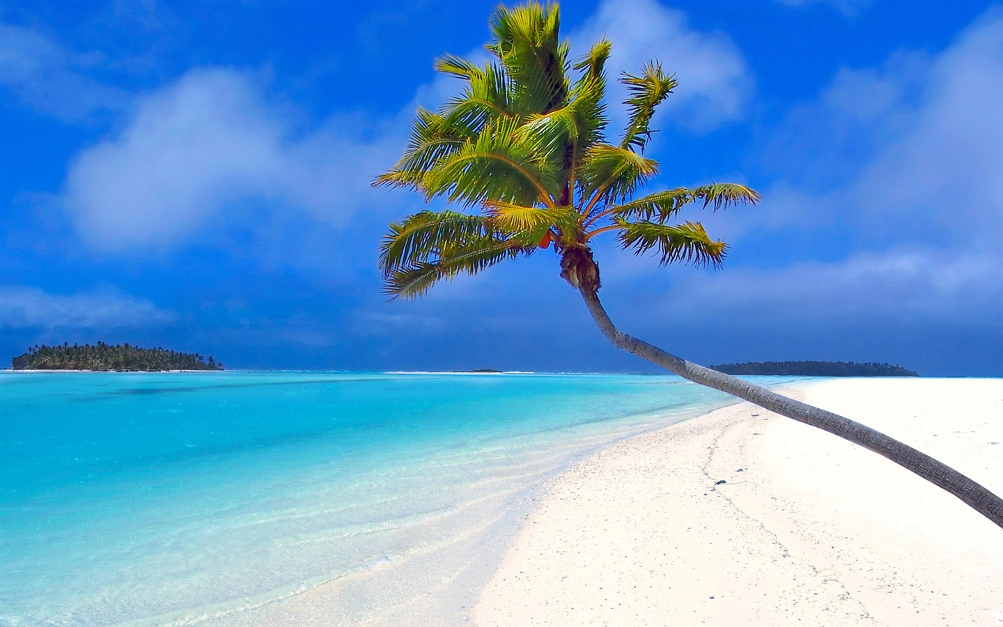 아름다운 해변의 풍경의 HD 배경 화면 #1 - 1440x900
