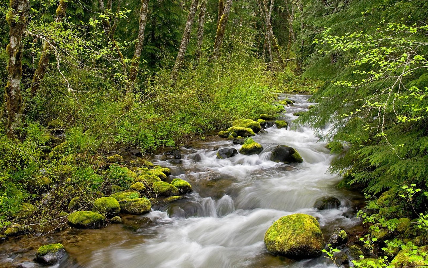 Natural Scenery Highlights (6) #8 - 1440x900
