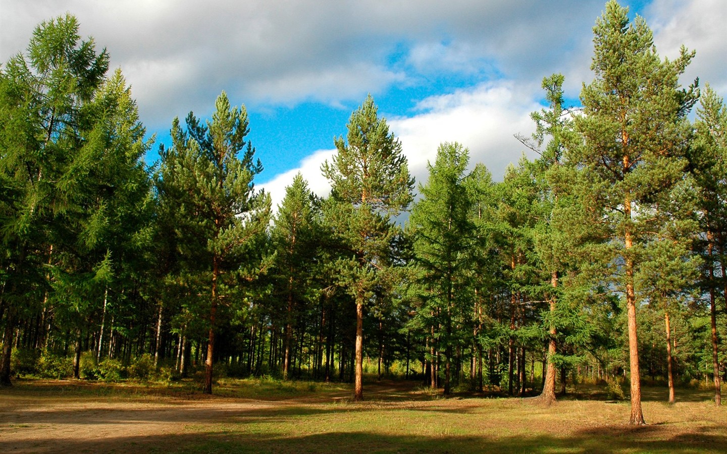 Un beau paysage naturel en Sibérie #3 - 1440x900