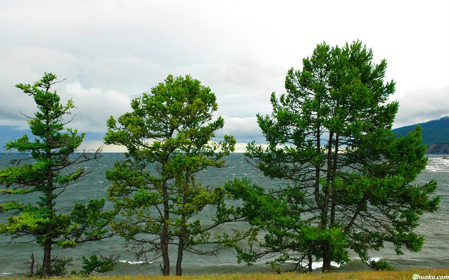 Un beau paysage naturel en Sibérie #11 - 1440x900