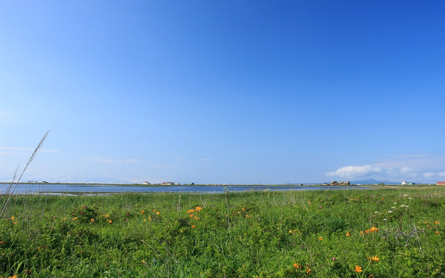 paysage de campagne Hokkaido #13 - 1440x900