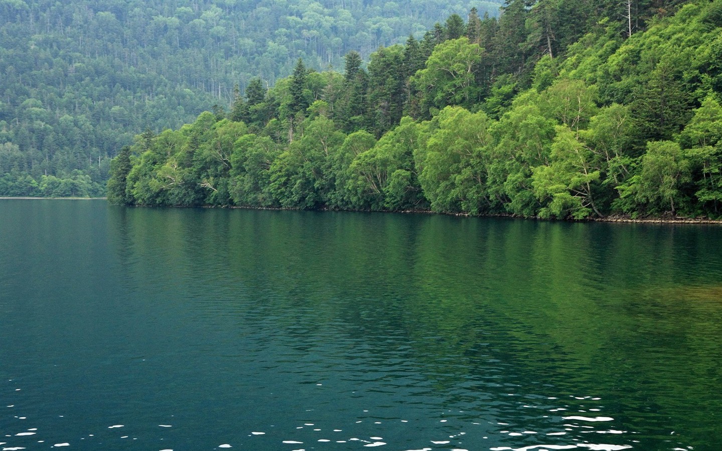 夏日北海道郊外風景 #17 - 1440x900