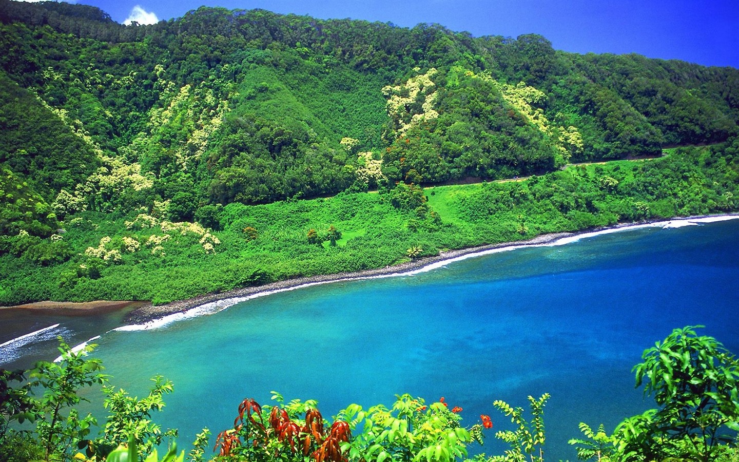 Hawaiianischer Strand Landschaft #6 - 1440x900