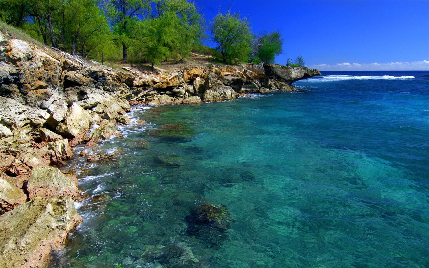 paysages plage hawaïenne #12 - 1440x900