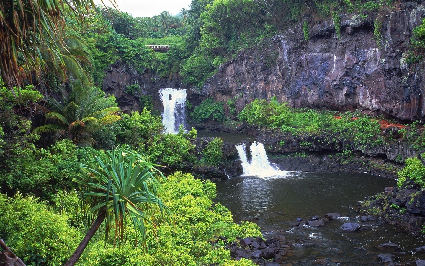 Hawaiianischer Strand Landschaft #15 - 1440x900