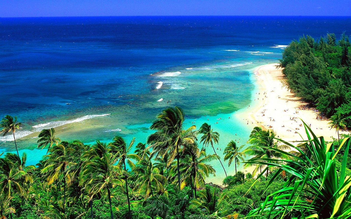 ハワイアンビーチの風景 #16 - 1440x900