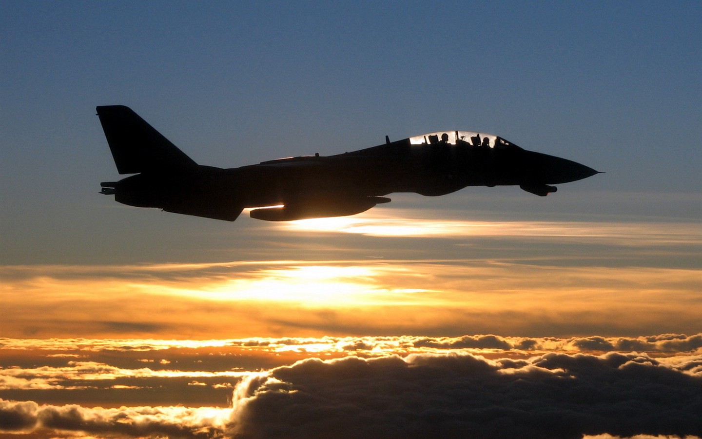 美國海軍F14雄貓戰鬥機 #39 - 1440x900