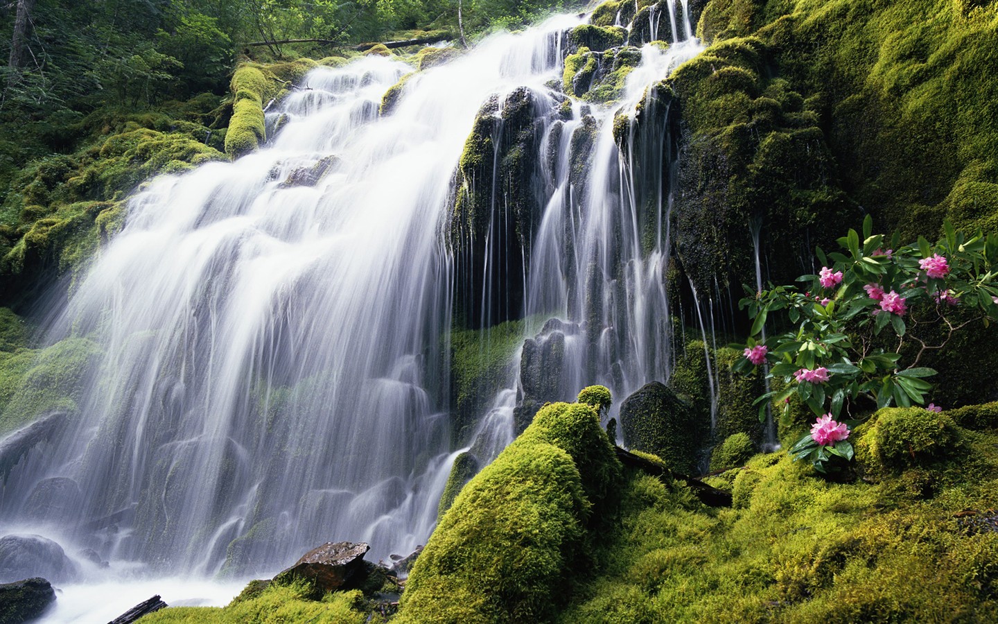 Windows7 系統自帶壁紙 #3 - 1440x900