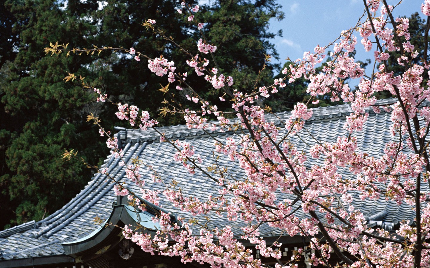 日本京都風景壁紙 #14 - 1440x900