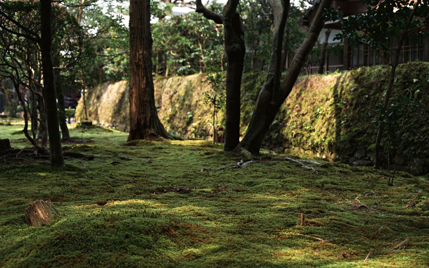 Kyoto, Japan, Landscape Wallpapers #23 - 1440x900