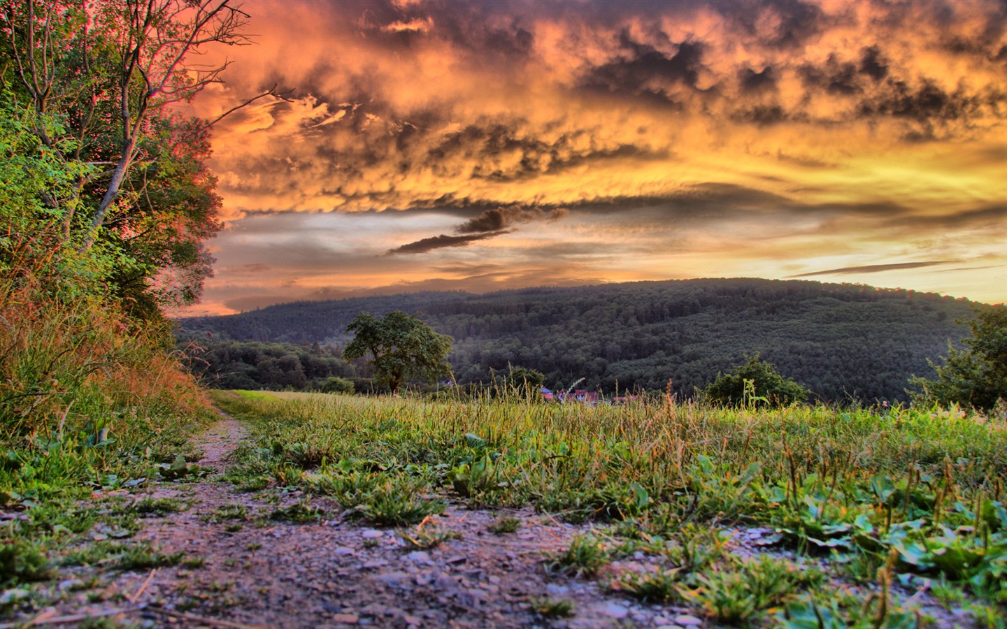 Representación de paisajes Fondos de pantalla HD #33 - 1440x900