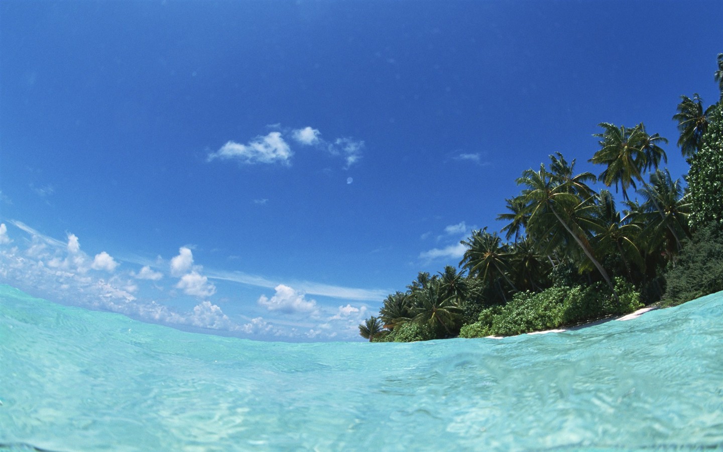 马尔代夫的水和天7 - 1440x900