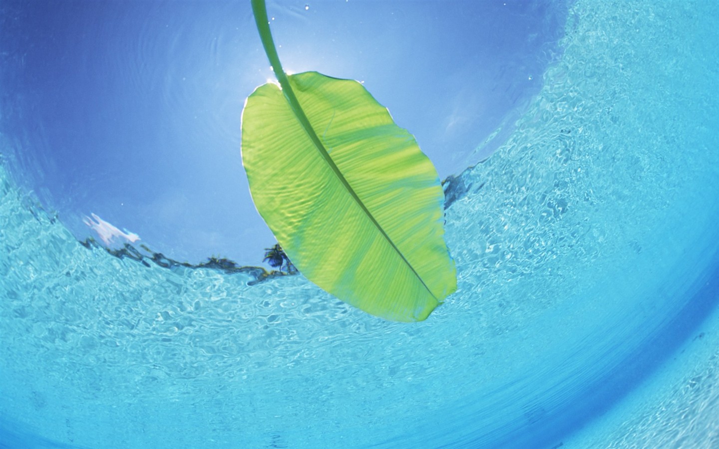 몰디브 물과 푸른 하늘 #26 - 1440x900
