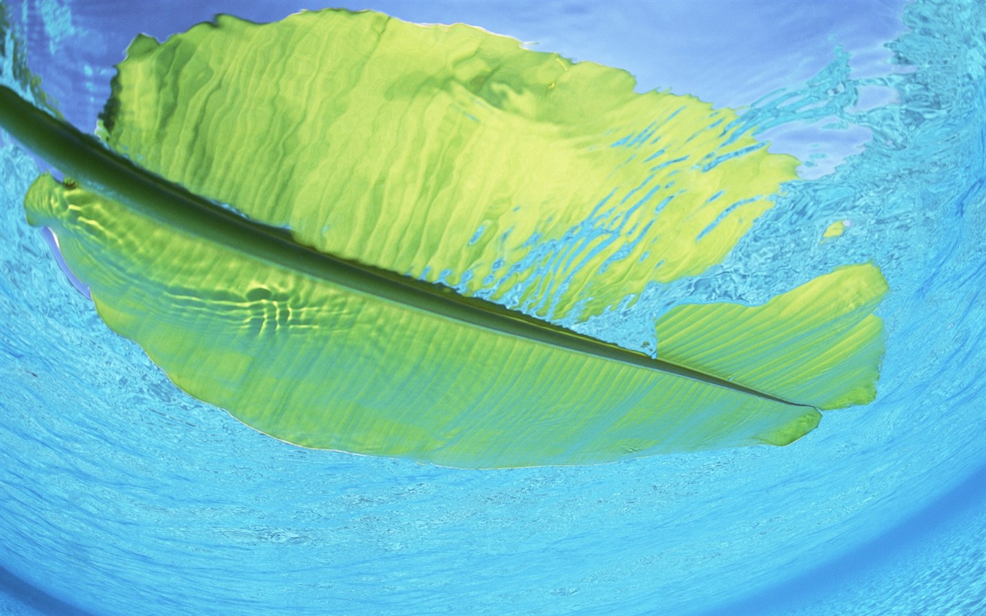 몰디브 물과 푸른 하늘 #27 - 1440x900