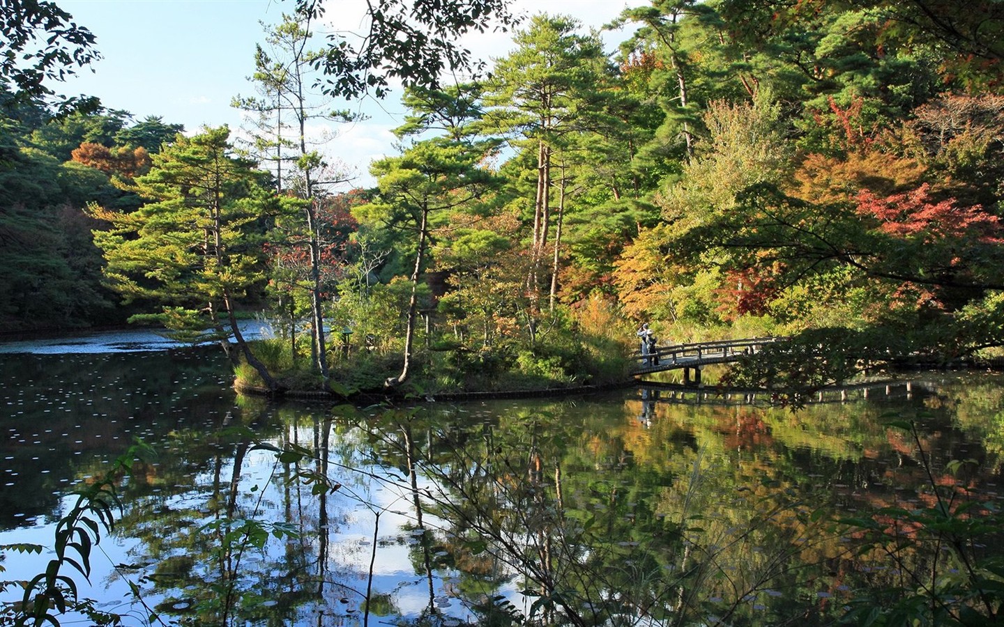 Japan Tour: Montañas Rokko hojas #28 - 1440x900