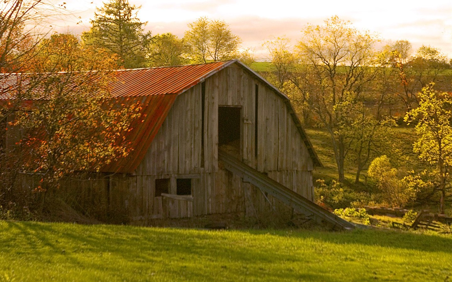 Fond d'écran épais décor de l'automne #1 - 1440x900