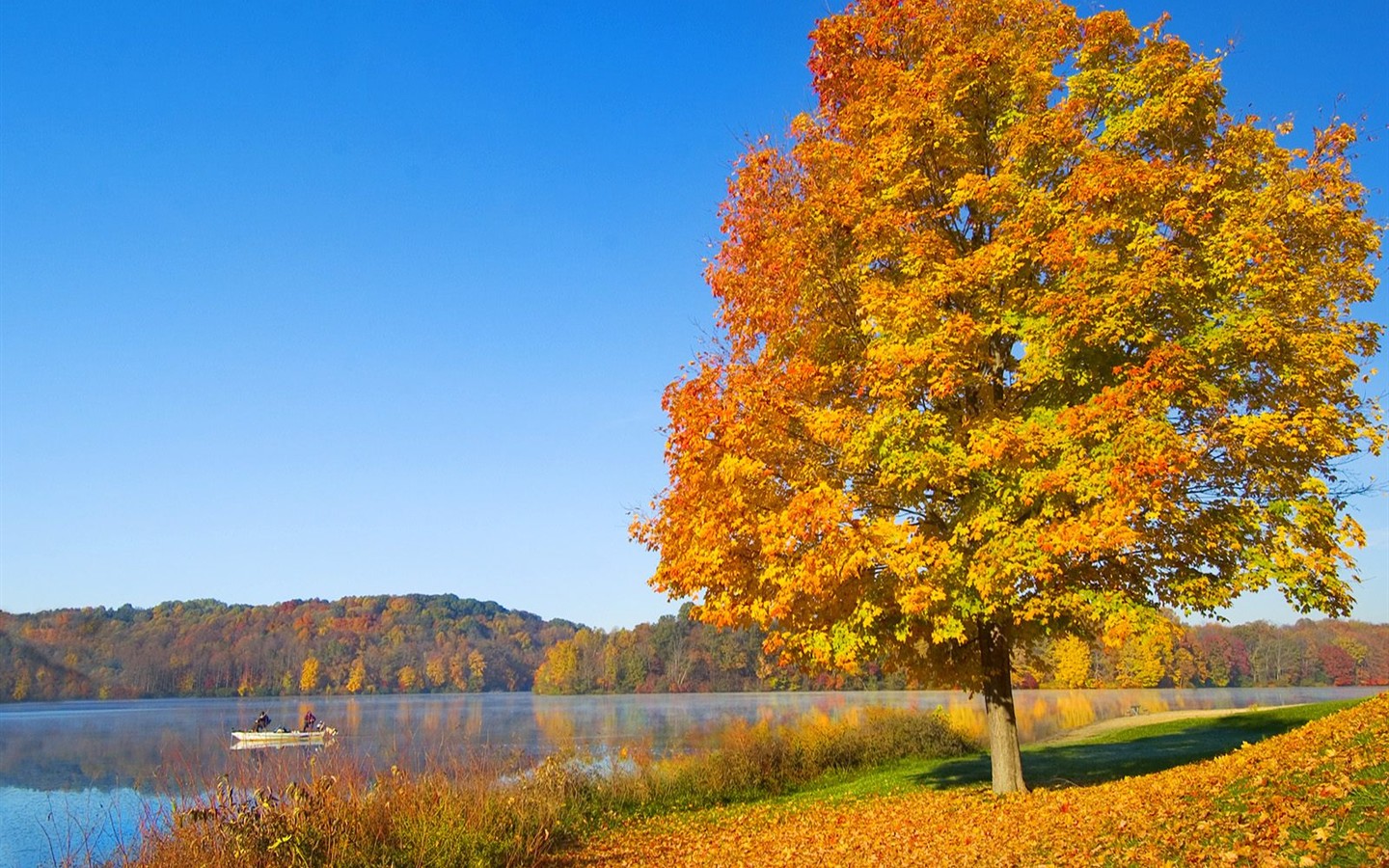 厚の秋の風景の壁紙 3 1440x900 壁紙ダウンロード 厚の秋の風景の壁紙 風景 壁紙 V3の壁紙