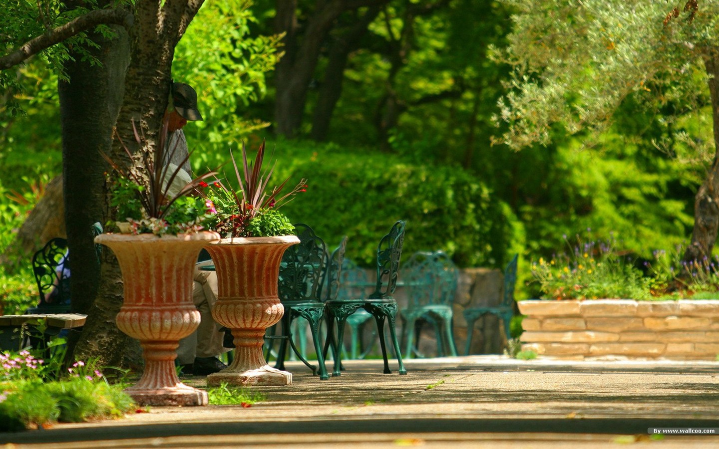 Parc beau fond d'écran #22 - 1440x900