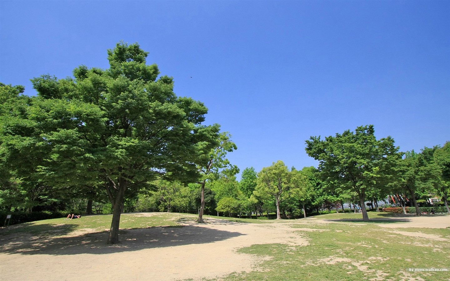 Parc beau fond d'écran #26 - 1440x900