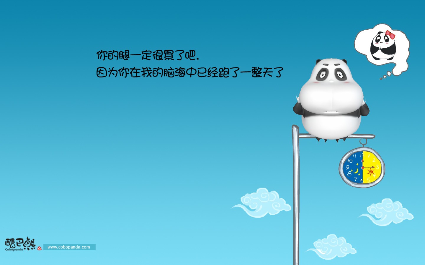 可愛酷巴熊壁紙 #3 - 1440x900