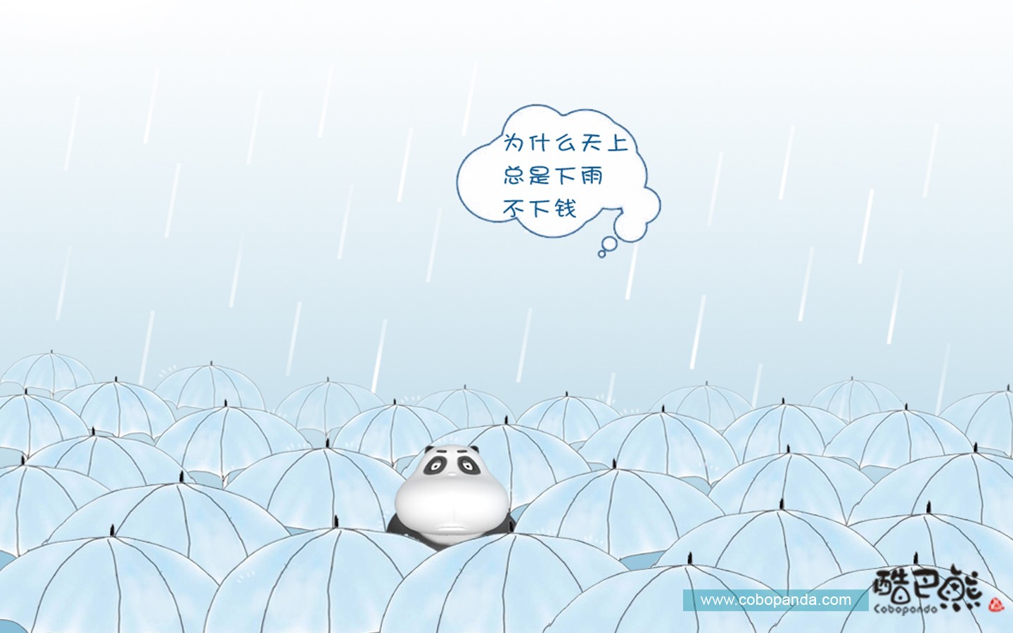 可愛酷巴熊壁紙 #5 - 1440x900
