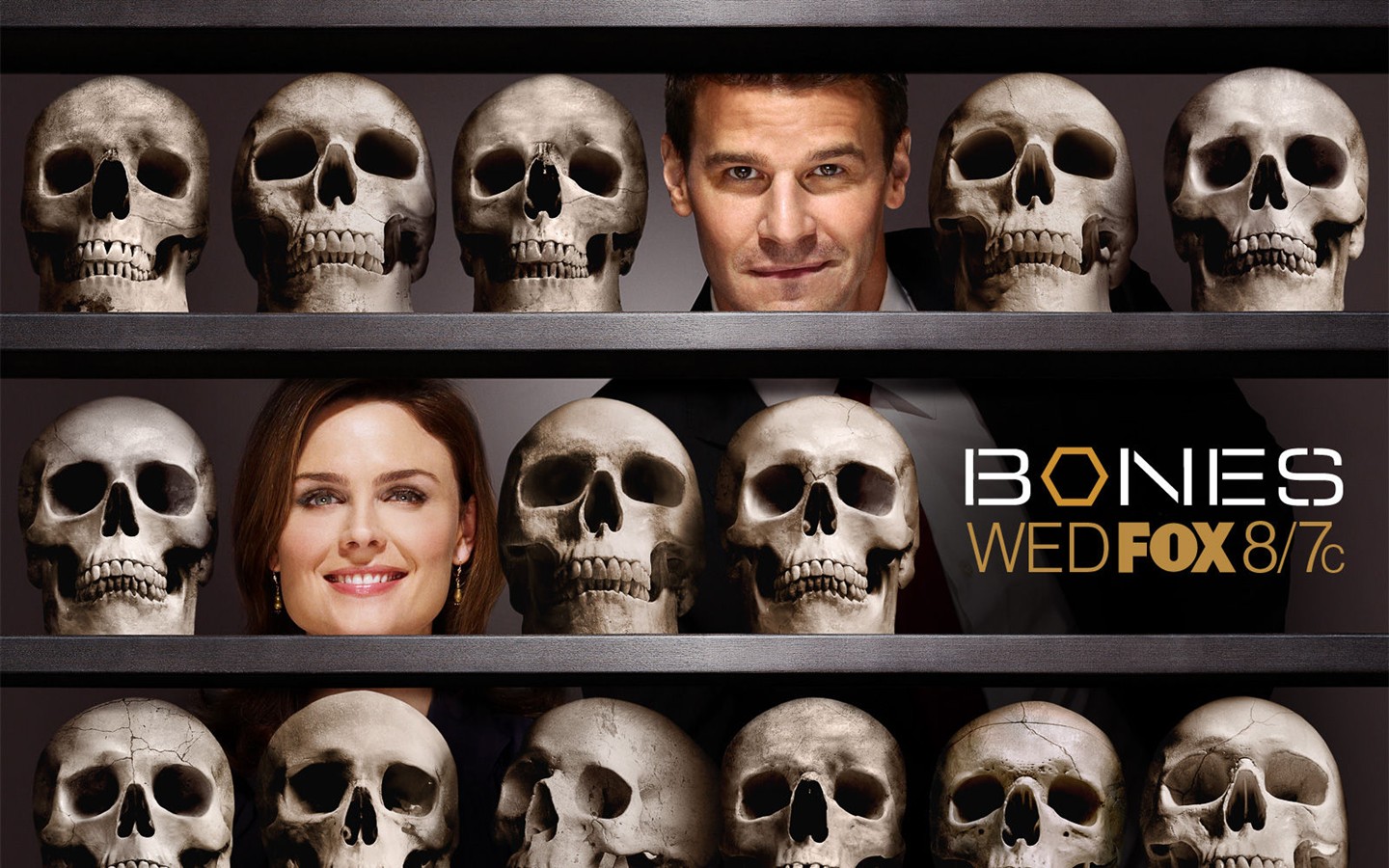 Bones 識骨尋踪 #5 - 1440x900