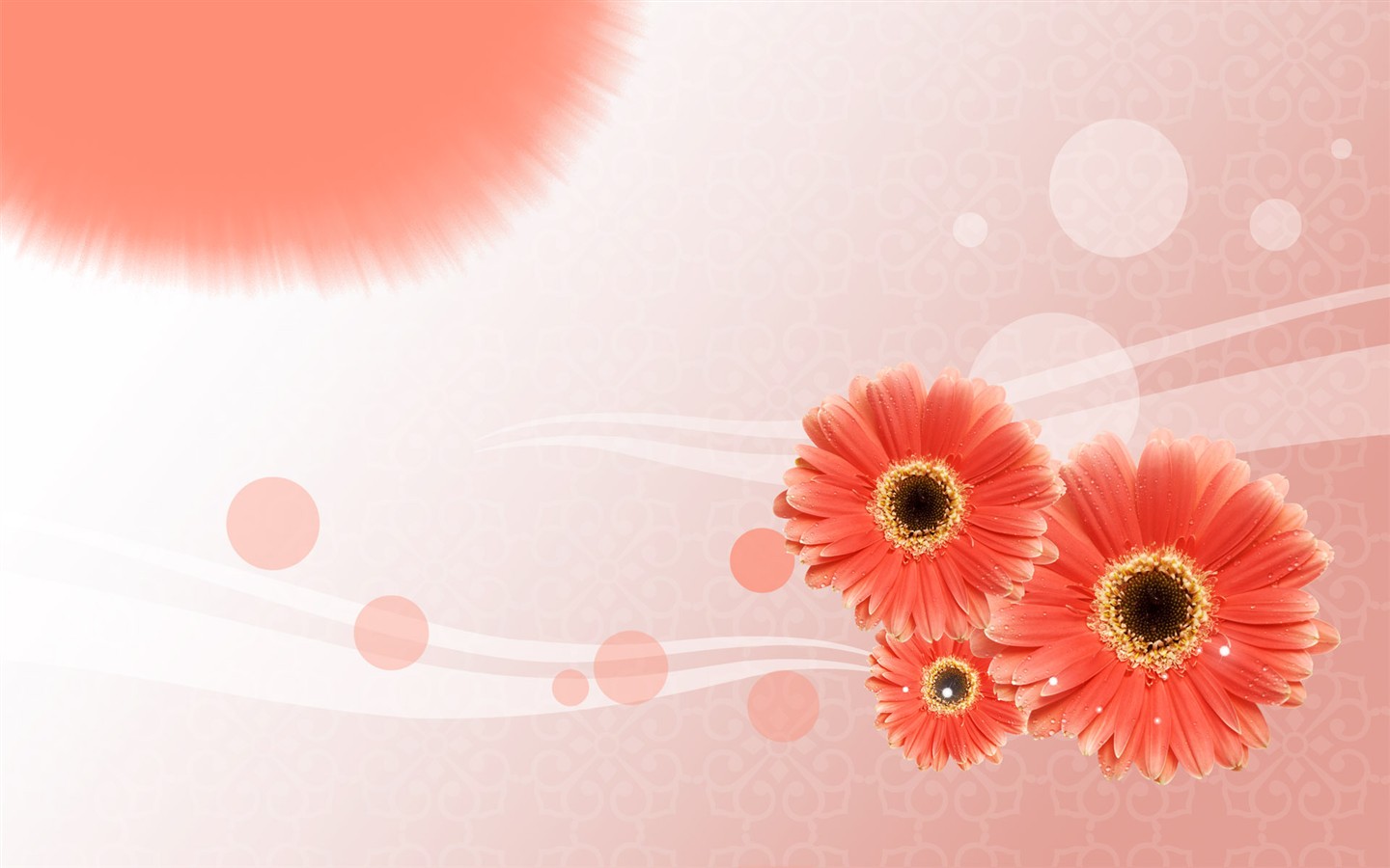 Synthèse de belles fleurs #5 - 1440x900