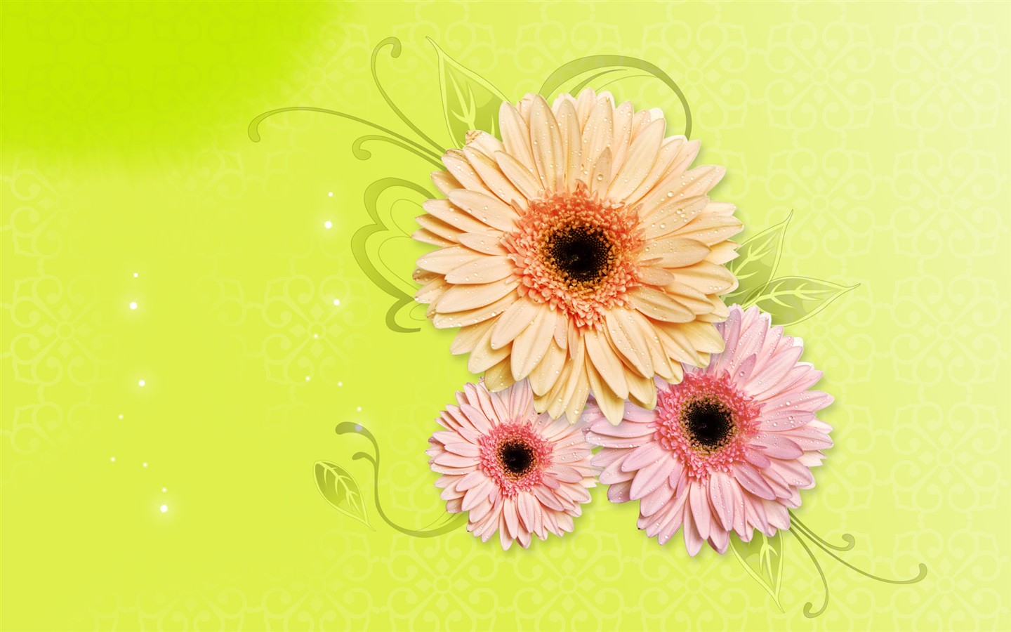 Synthèse de belles fleurs #11 - 1440x900