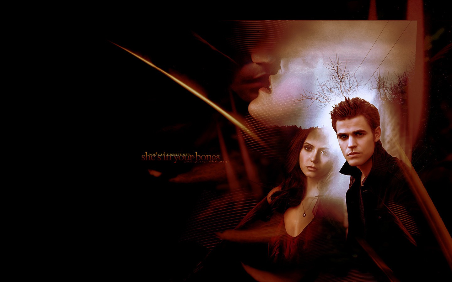 The Vampire Diaries Tapete #30 - 1440x900