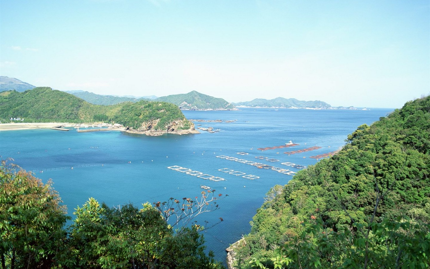 春色 自然風景壁紙 #16 - 1440x900