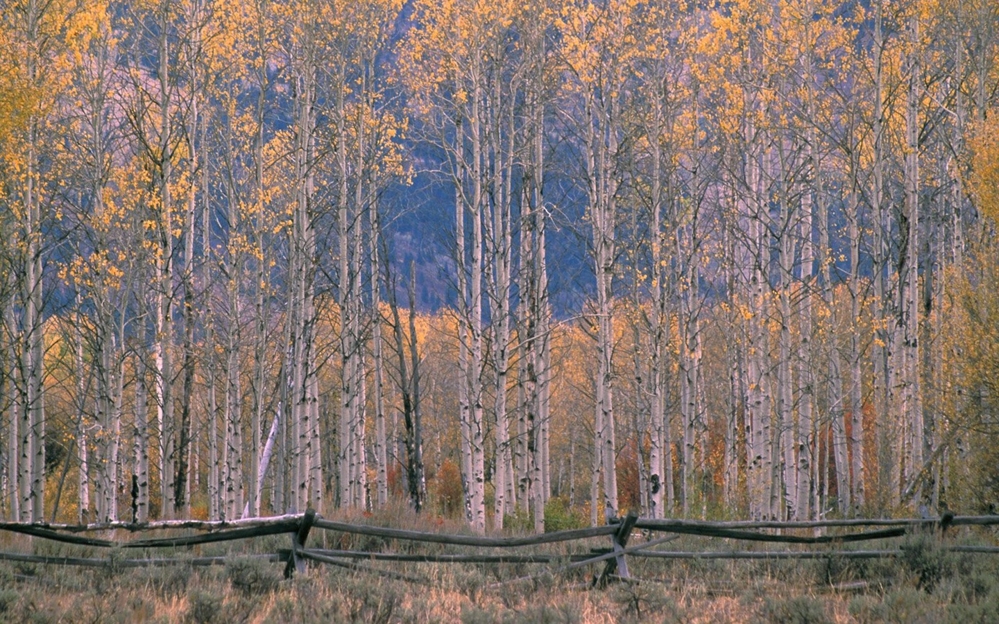 Podzimní krajina krásná tapeta #7 - 1440x900